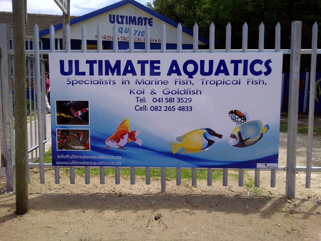 Chromadek Signs